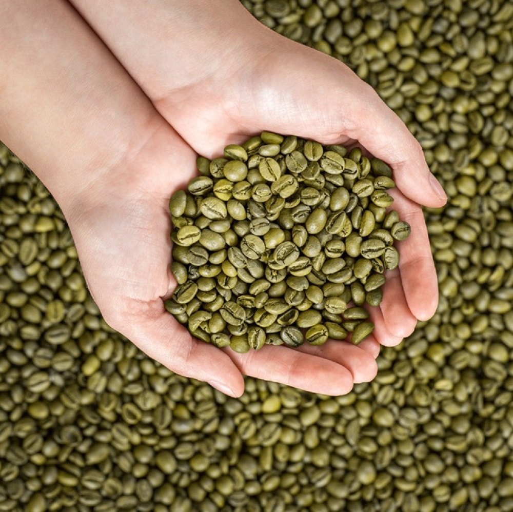 Arabica green coffee beans