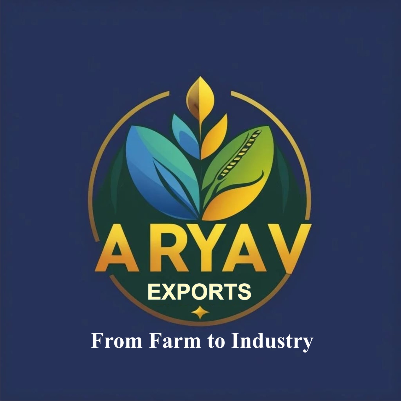 Aryav Exports